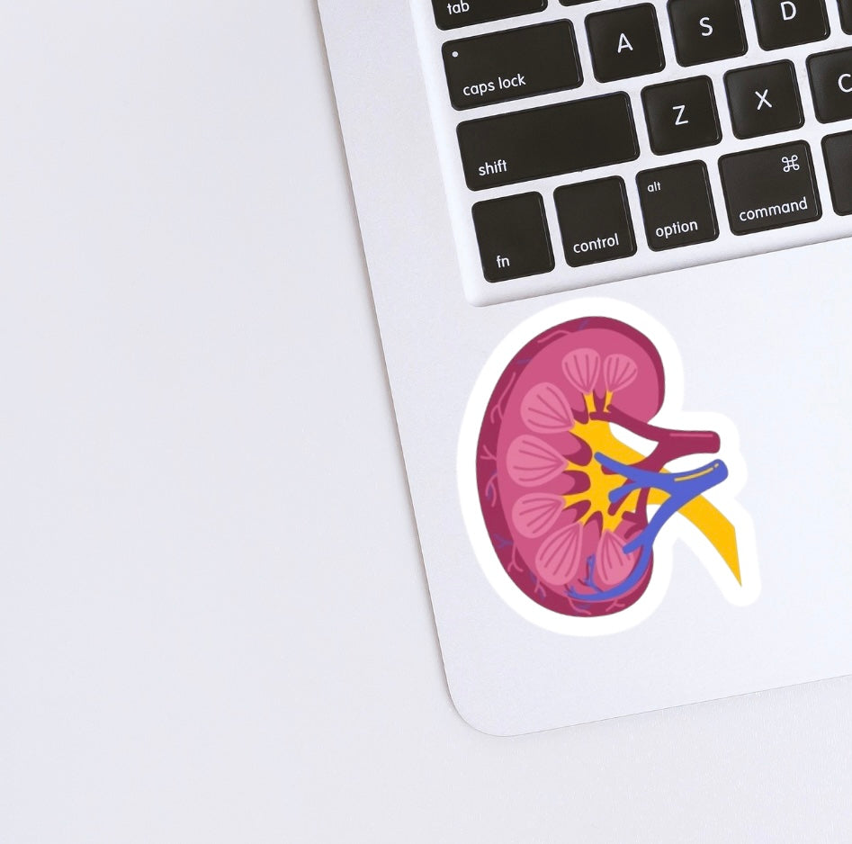 Kidney Sticker