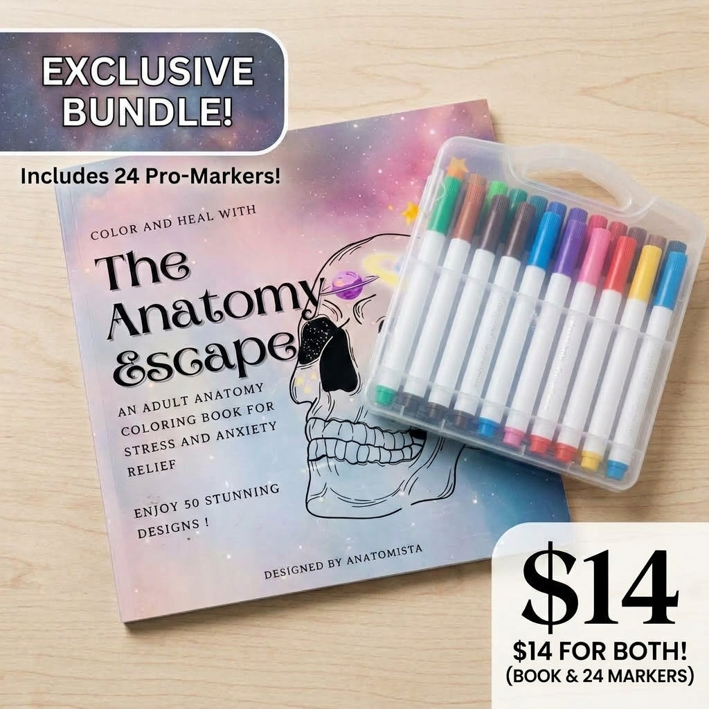 Bundle 2