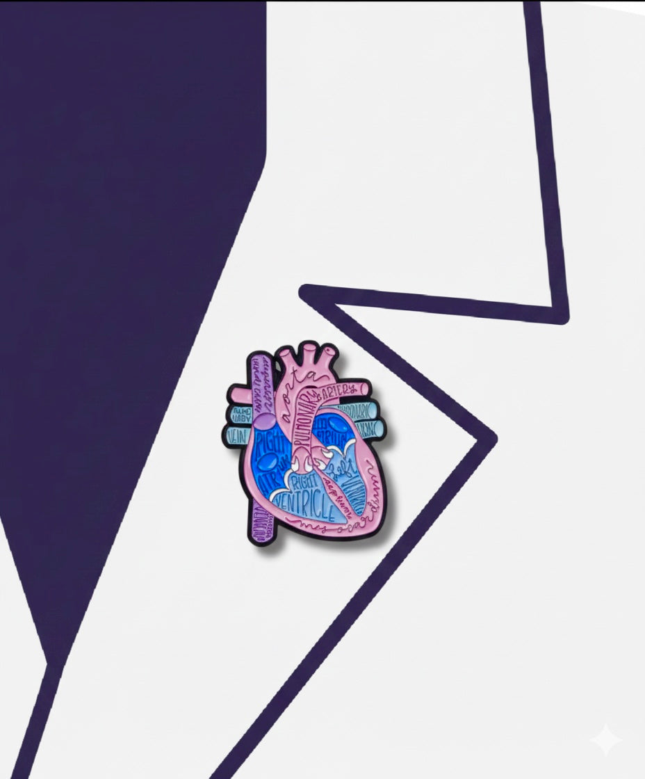 heart anatomy pin