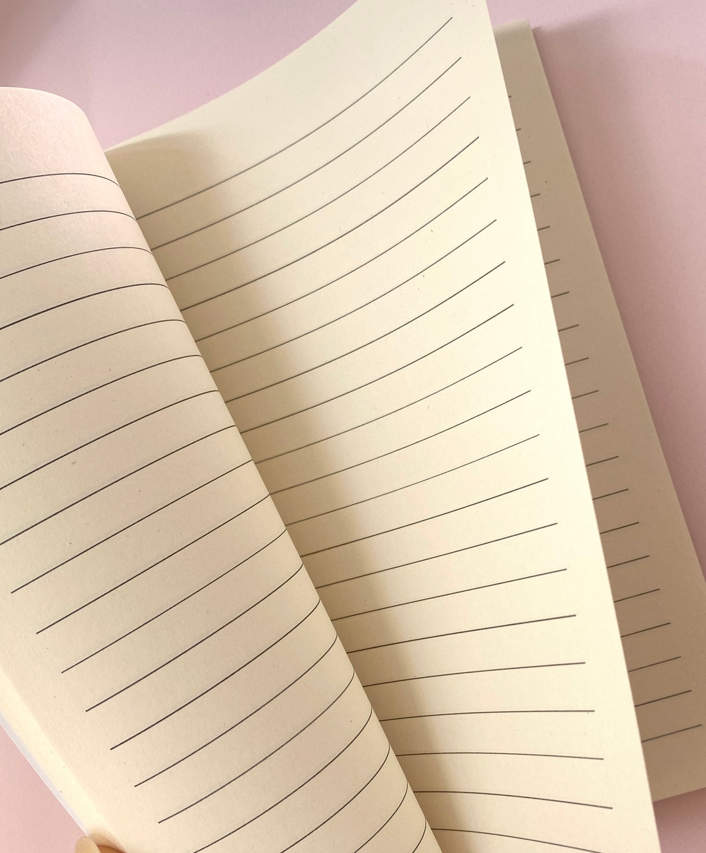 Digestive system Notebook