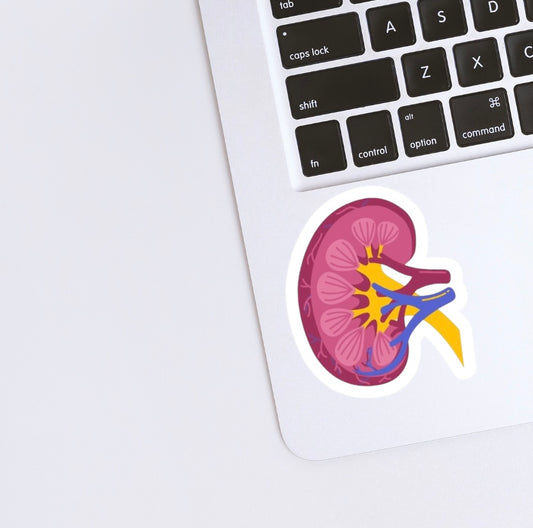 Kidney Sticker