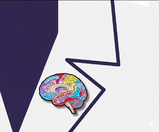 brain anatomy pin