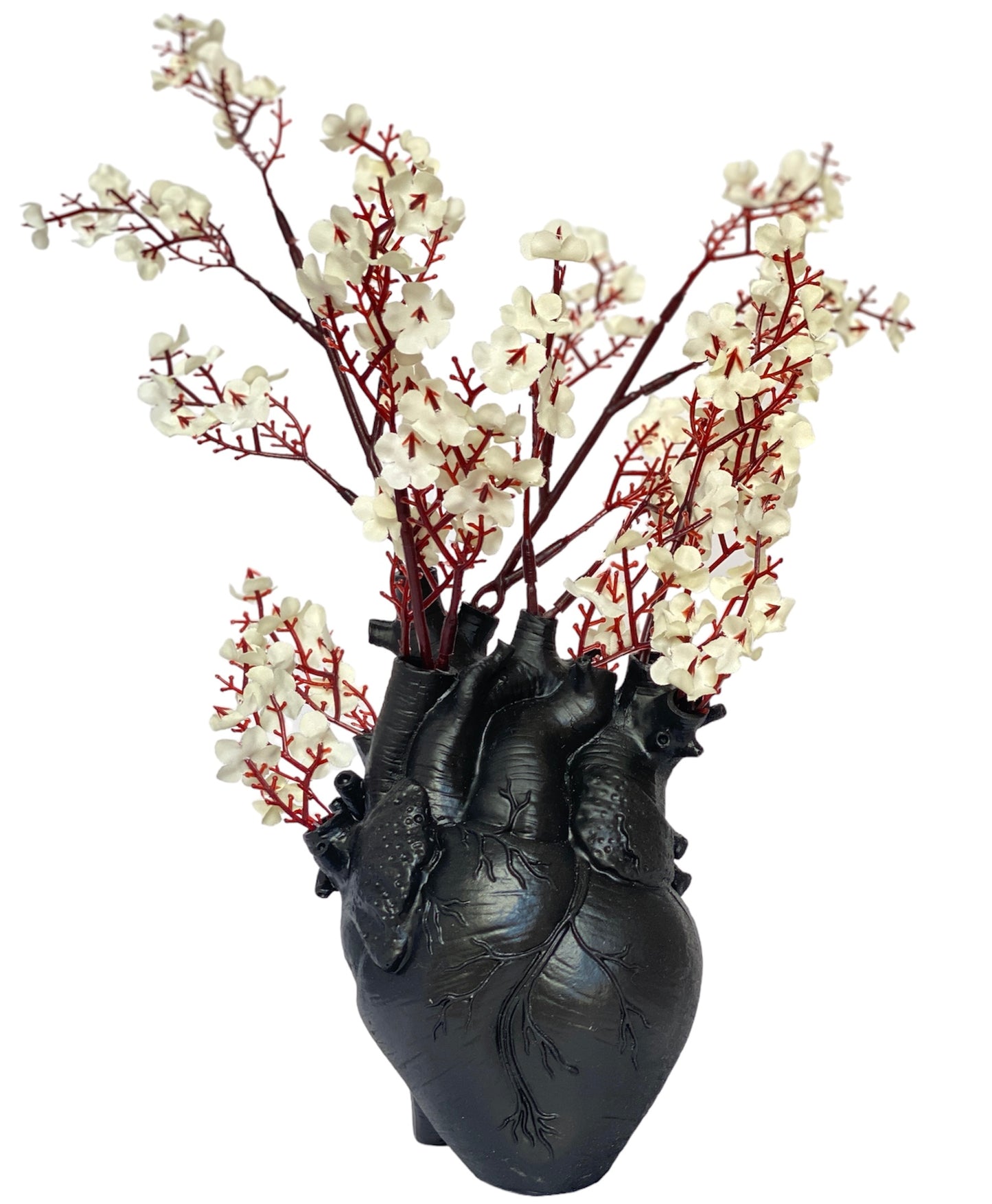 Anatomical Heart-roses Set Box