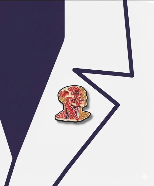 head anatomy pin