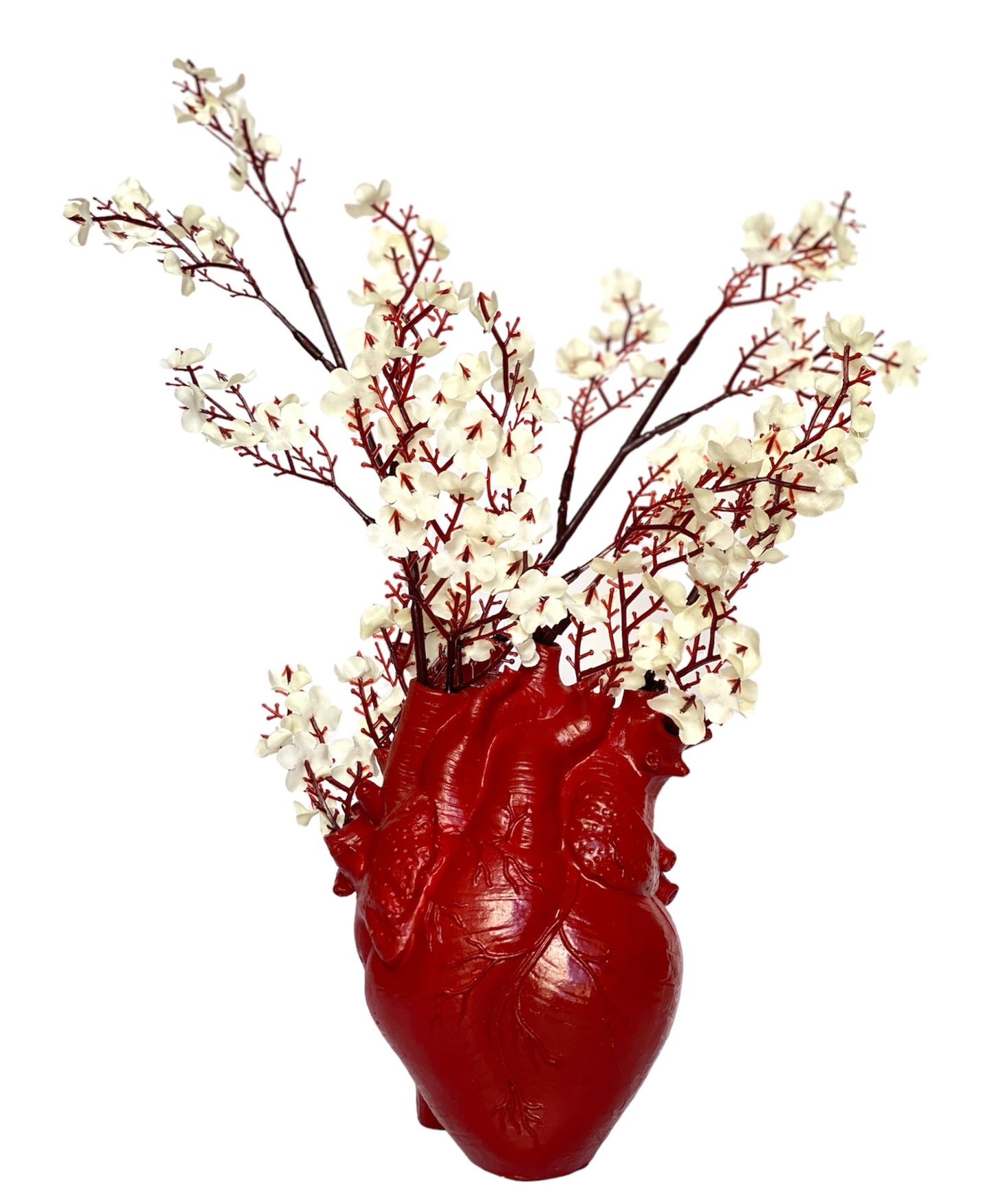 Anatomical Heart-roses Set Box