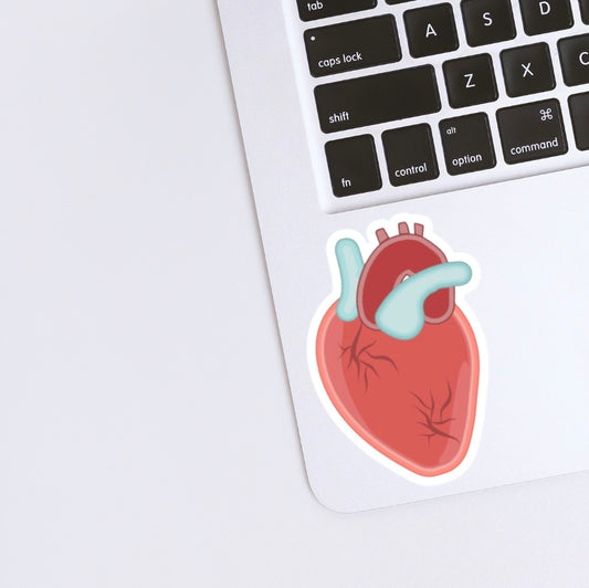 Human Heart Sticker