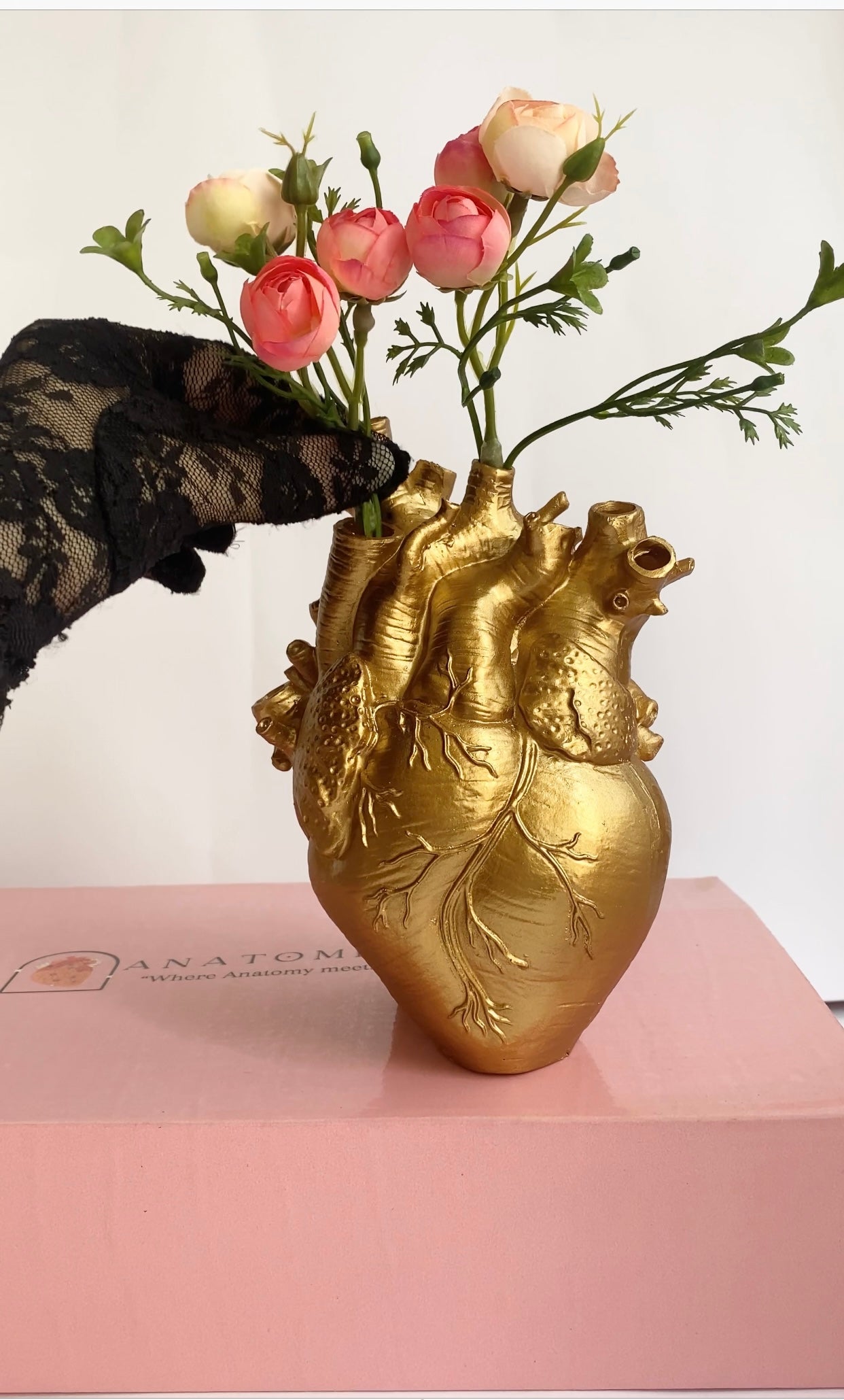 Anatomical Heart-roses Set Box